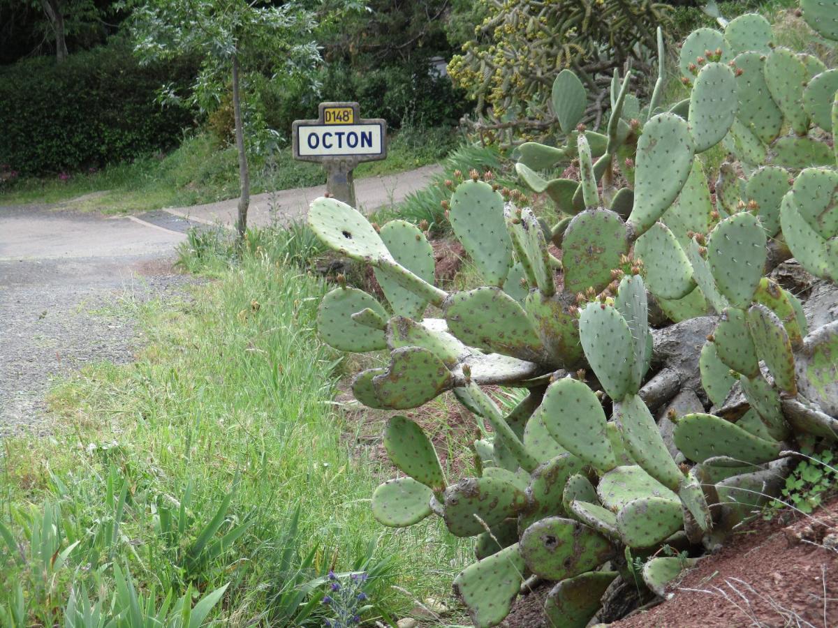 Hotes'Octon Bagian luar foto